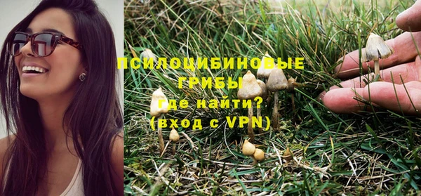 экстази Сафоново