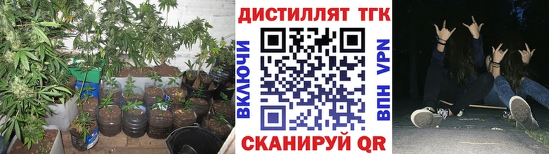 ТГК вейп с тгк  Купить где  Заринск 